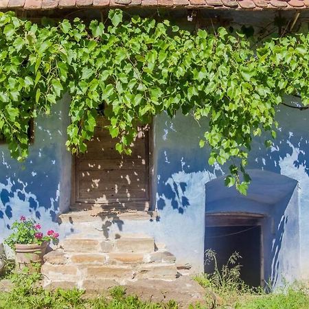 Experience Transylvania Viscri 63B Zewnętrze zdjęcie