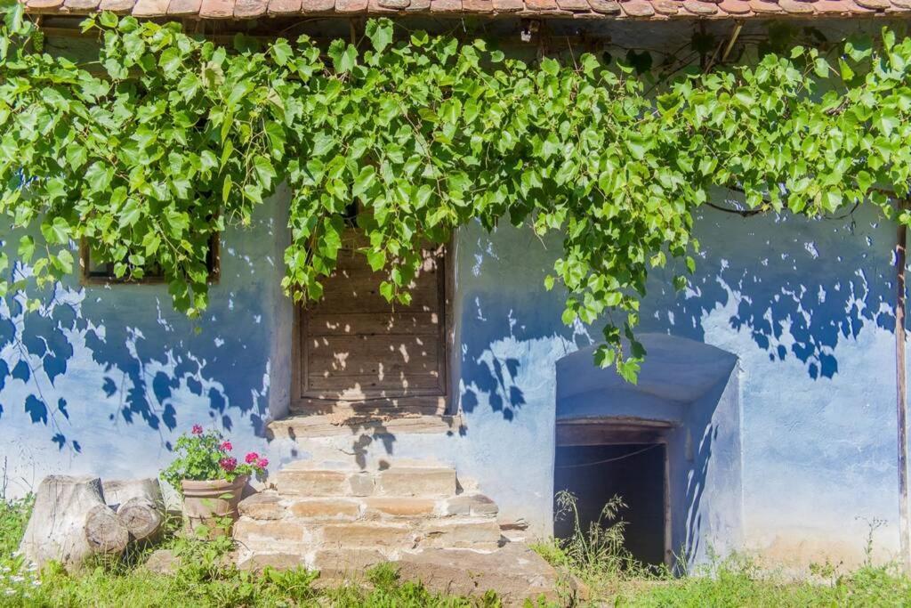 Experience Transylvania Viscri 63B Zewnętrze zdjęcie